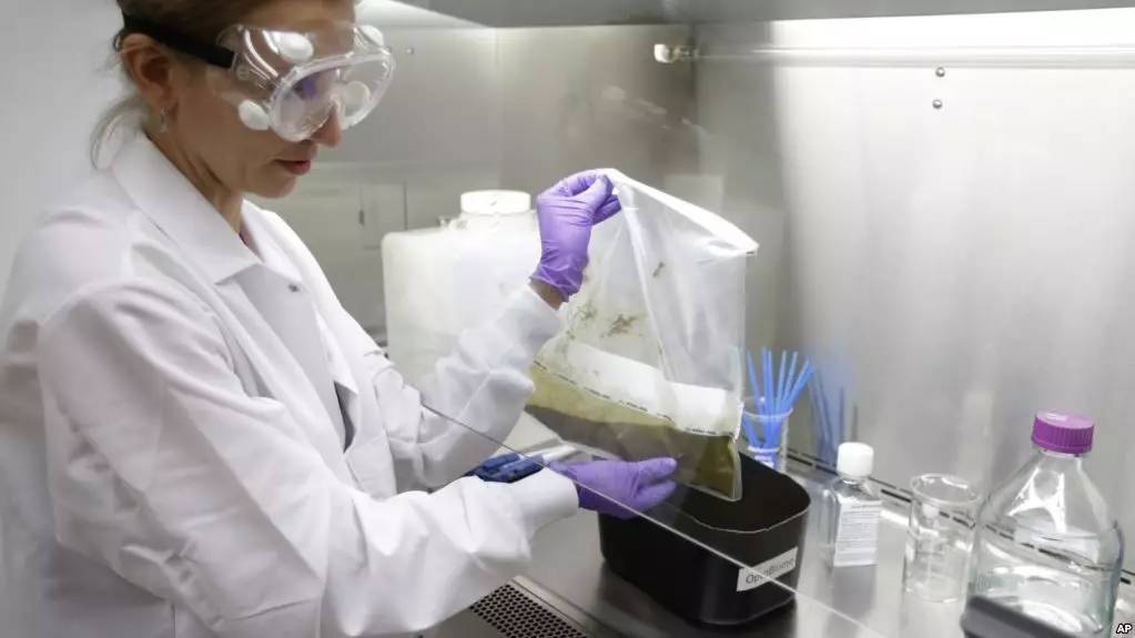 你狠心冲掉的便便,正成为许多肠胃病人的救星