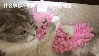 大姨妈期间惹女朋友生气怎么哄,大姨妈怎么缓解情绪