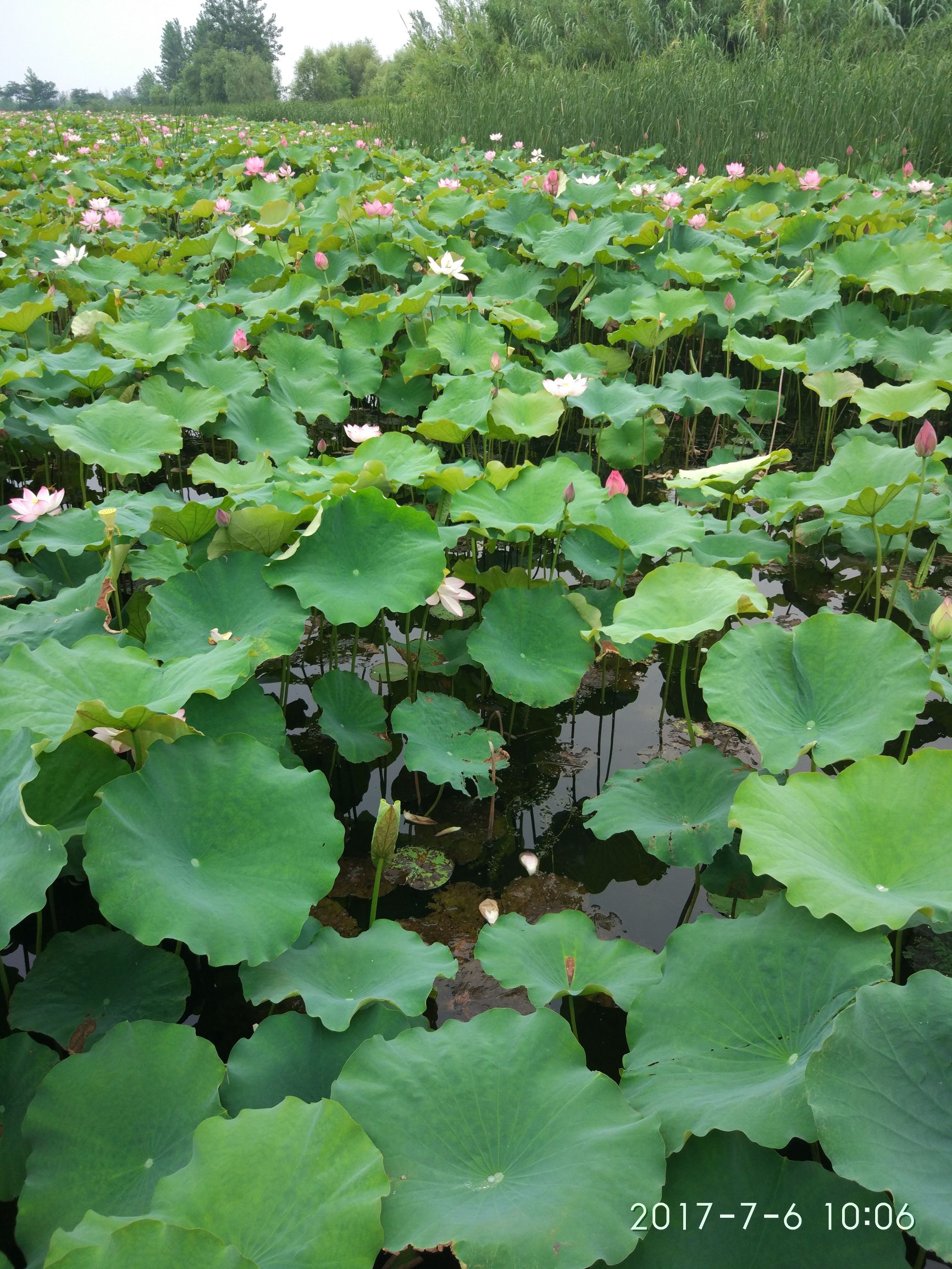 吹奏笛子气息训练,笛子气息教学视频全集