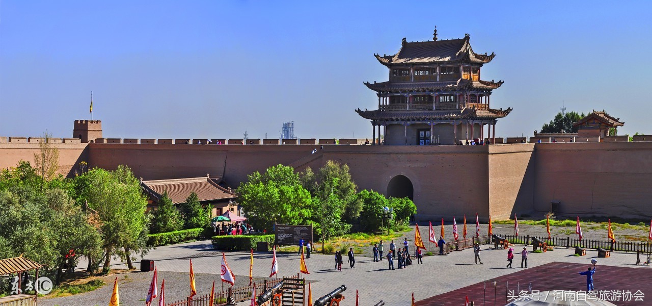 胡杨林景区额济纳旗司机,新疆自驾老司机