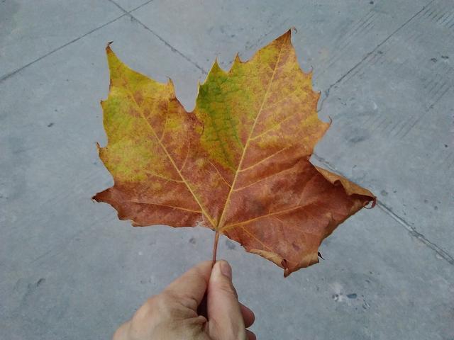 娱乐大师评测视频,娱乐大师性能排行榜