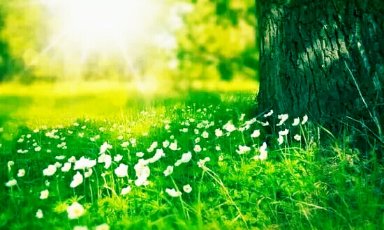 考研四部曲,考研各门课推荐资料