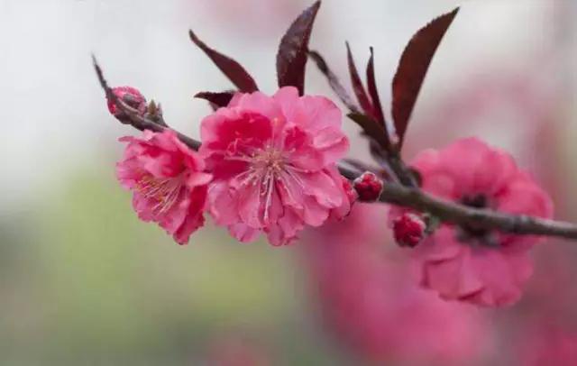 惊！陈武帝宫居然八月梅开