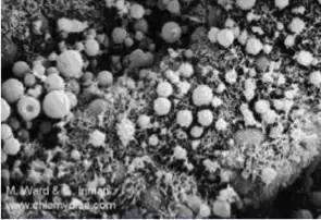 输卵管积水能移植吗,输卵管为什么会有积水