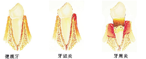 你和女神的距离就差一步,你与女神的距离只差一个下巴