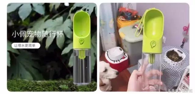 Todayis七夕,这盆狗粮爱妖经替你验过,放心吃吧