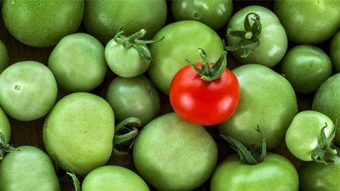 淘汰郎外卖火锅,火锅外卖项目怎么样