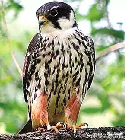 你离犯罪有多近,当你走在犯罪的路上