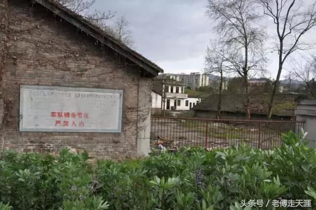 梁中与红中曾合校办学多年~两校原是亲生血缘关系