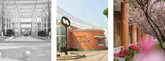 全世界都不能小看昆山，因为他们都来了！