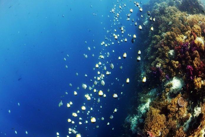 帕劳旅游最美风景攻略,帕劳旅游攻略自由行