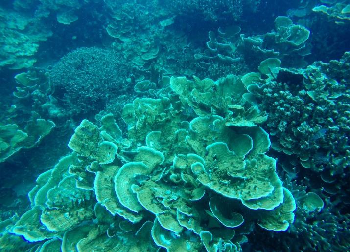 帕劳旅游最美风景攻略,帕劳旅游攻略自由行