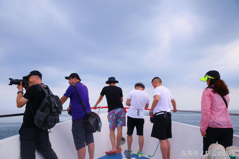 荣成烟墩角天鹅拍摄机位,世界最大天鹅