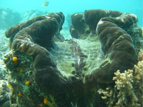 帕劳旅游最美风景攻略,帕劳旅游攻略自由行