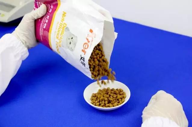 全阶段猫粮适合什么年龄的猫,幼猫成年猫通用猫粮推荐