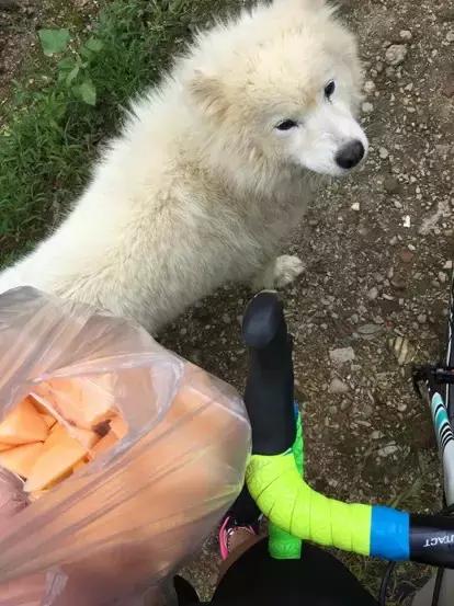 第一次骑山地自行车的感受,第一次骑行的经历