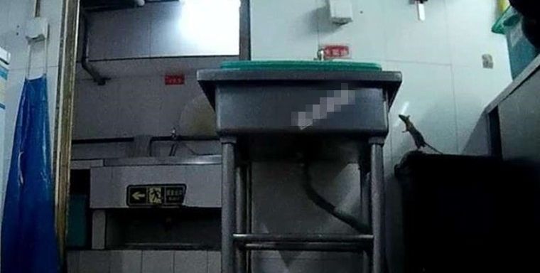 “后厨危机”下海底捞火爆依旧消费者为何逆向选择？央视网报