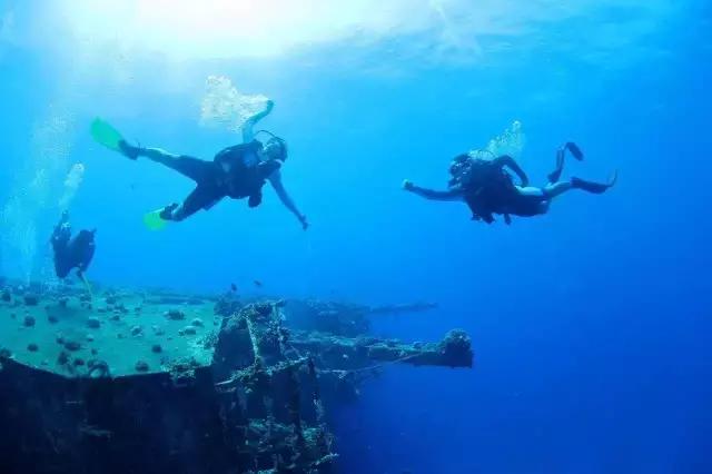 爱上邮轮的十个理由,爱上潜水的理由