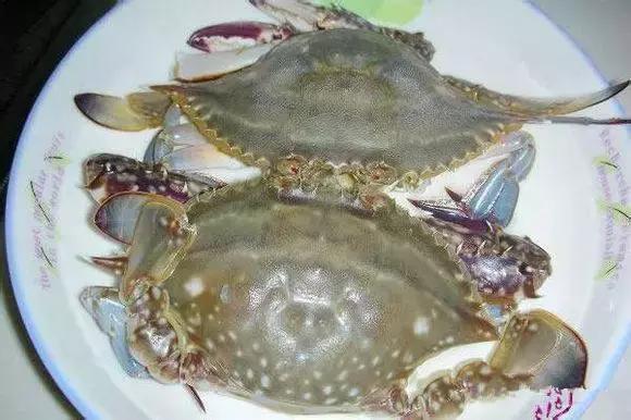 羊口开海！倒计时一天！第一网吃起来！看完哈喇子流一地