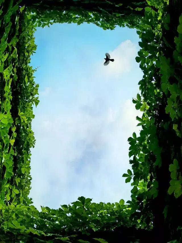 手机摄影中最重要的是什么,手机摄影的意义与价值