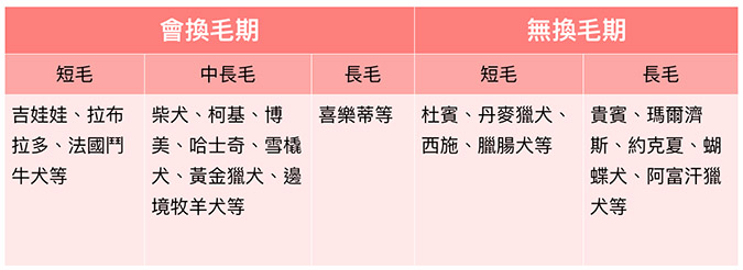 怎么让金毛毛发茂盛,怎么让金毛毛发旺盛