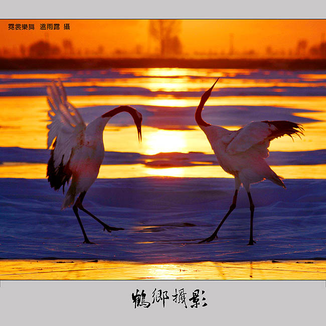 名曲闲云野鹤,古曲闲云孤鹤赏析