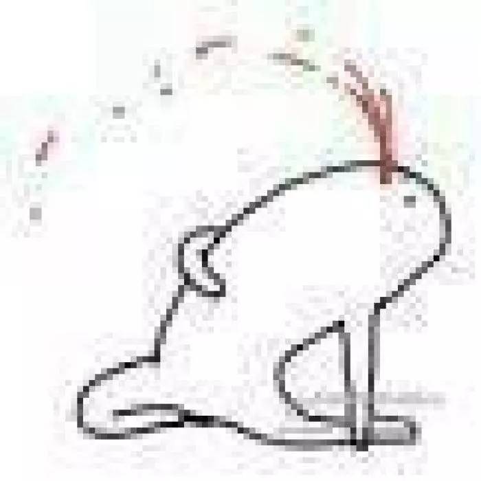 骑士与凯尔特人交易欧文,骑士凯尔特人交易了吗