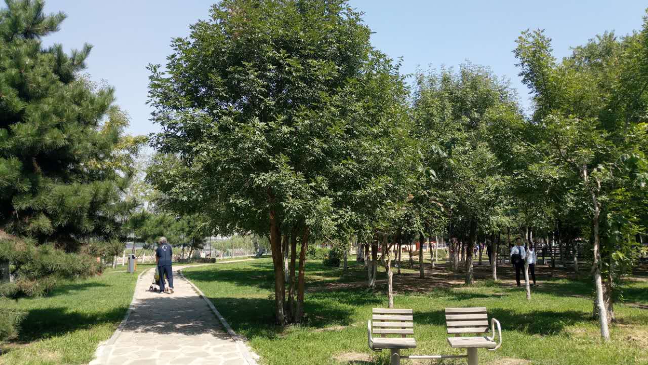 沈阳长白岛森林公园有海吗,游沈阳的长白岛森林公园400字作文