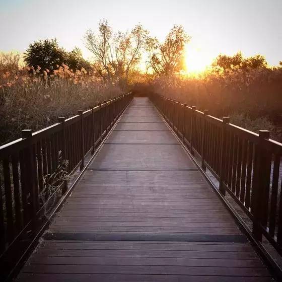 威海千里海岸线风景画,威海的海边适合拍照的地方