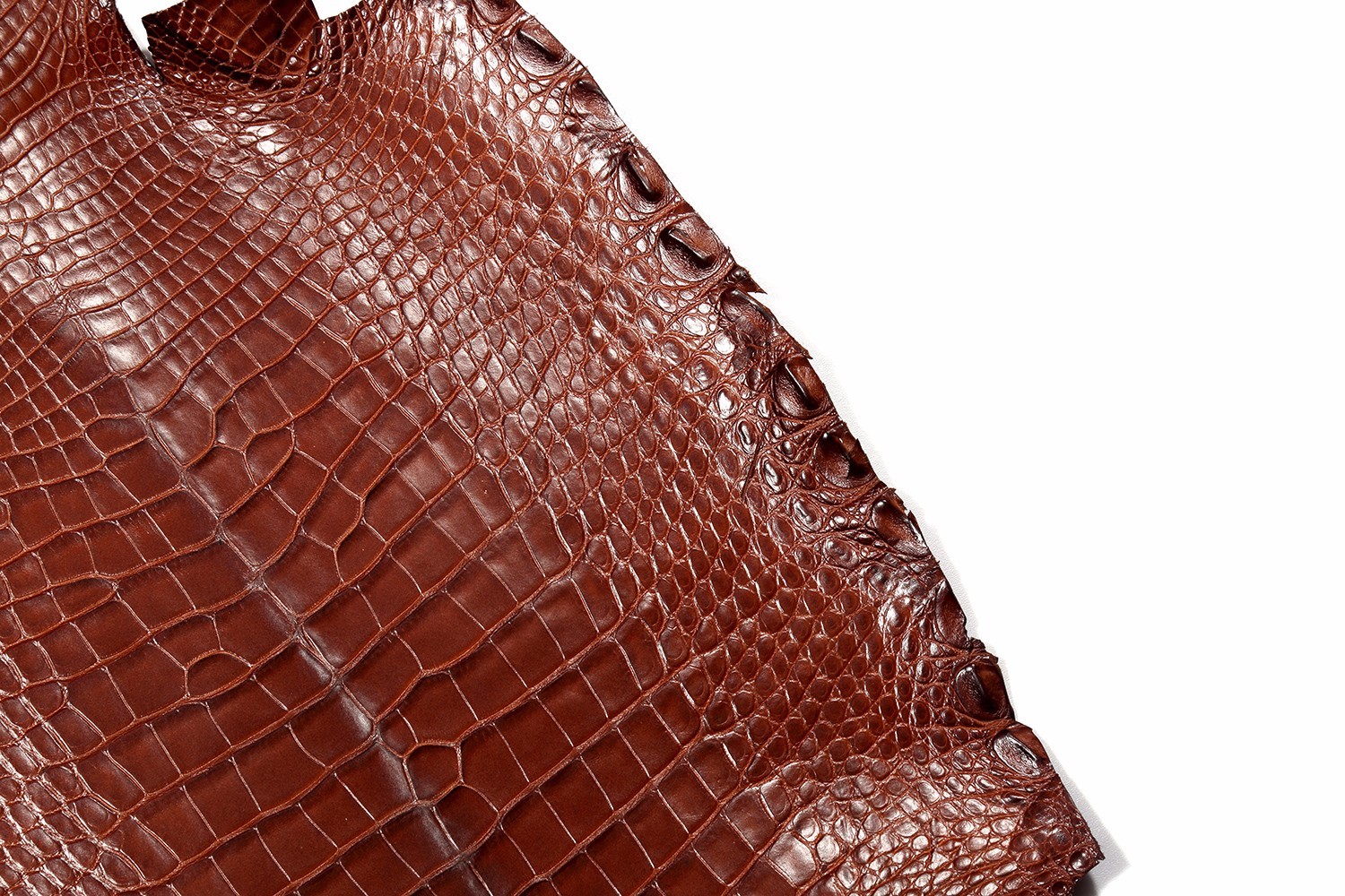 看起来差不多价格相差甚远,各类鳄鱼皮的价位