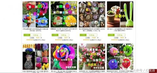 淘宝店铺卖的花卉是正品吗安全吗,淘宝花店骗局揭秘图片