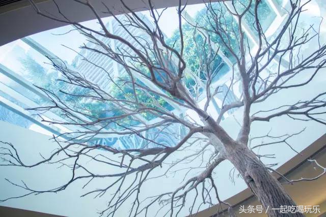 深圳最隐藏的网红茶,深圳有哪些网红茶