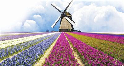 世界上最美的9处户外桑拿房,世界上最美的地方的推荐词