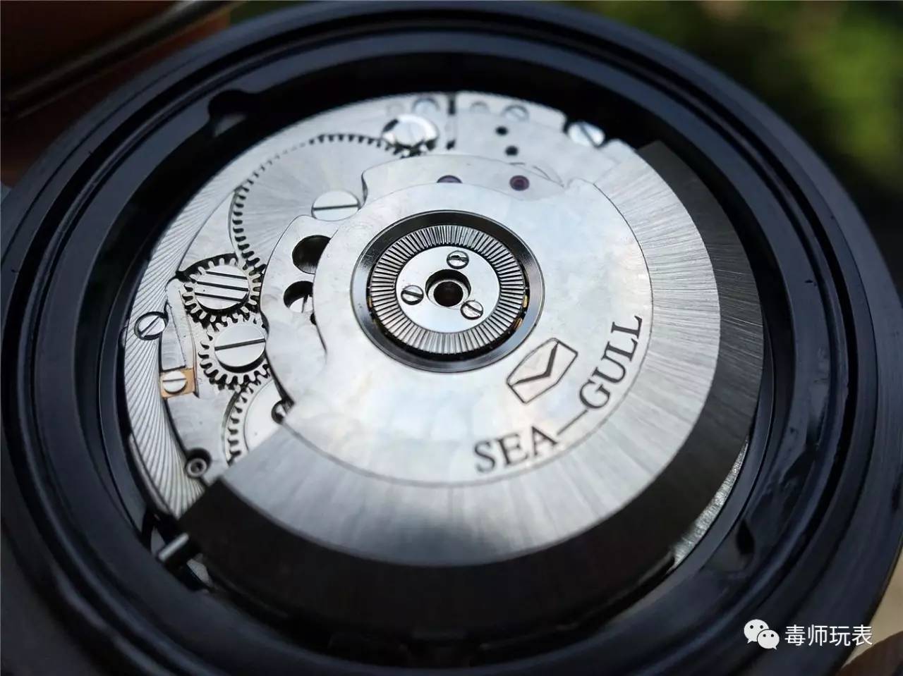 海鸥长津湖手表限量款,海鸥建国大业手表