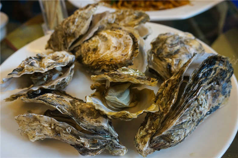 带着狗狗去旅行秦皇岛,带着狗狗旅居