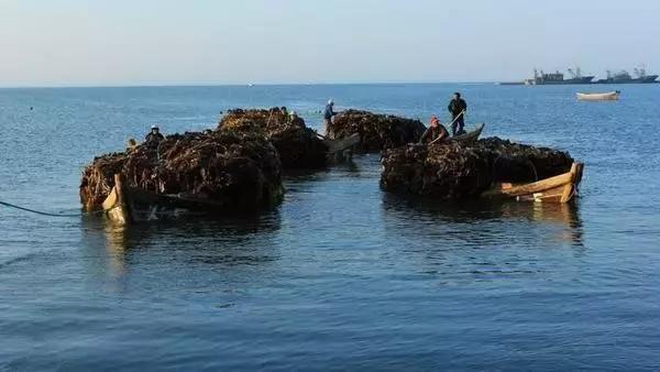 您好，您有一封来自荣成的邀请函，请注意查收！