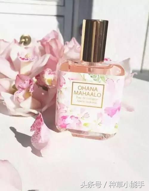 这5款堪比大牌的平价香水,推荐一款非常好用的大牌香水