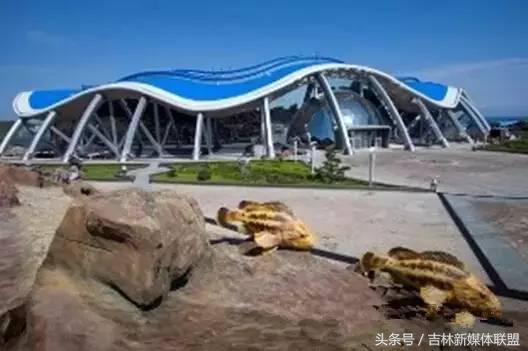 东北亚博览会昨日开幕!好吃的、好玩的全攻略看这里!