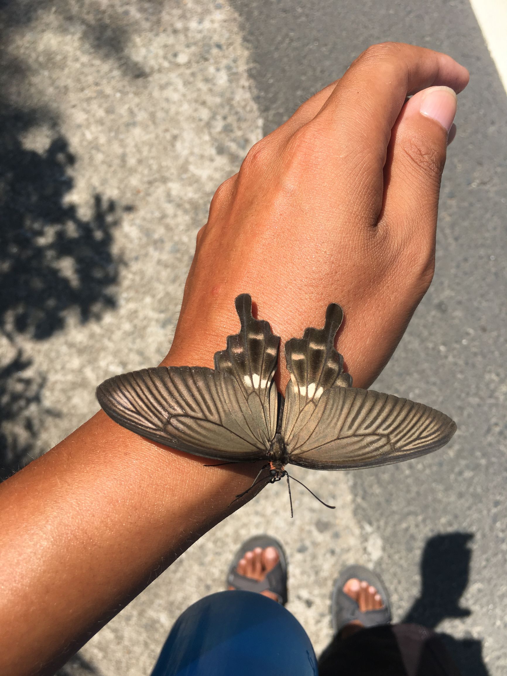 徒步旅行日志第146天，不要再高速逃票了，抵达台州临海沿江镇