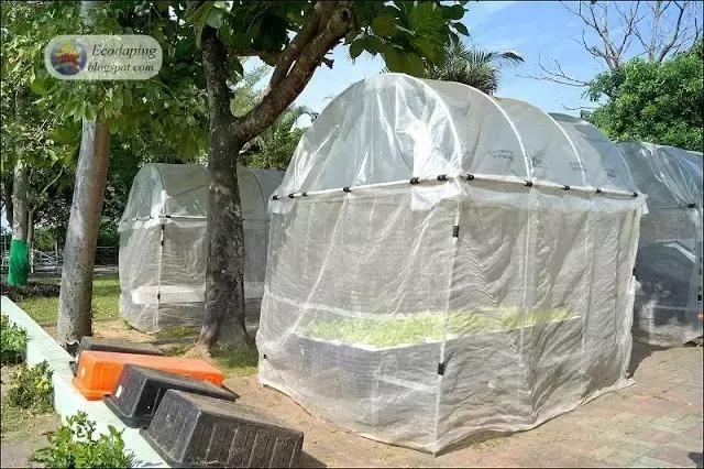 你的学校有操场吗,你还记得你的学校吗