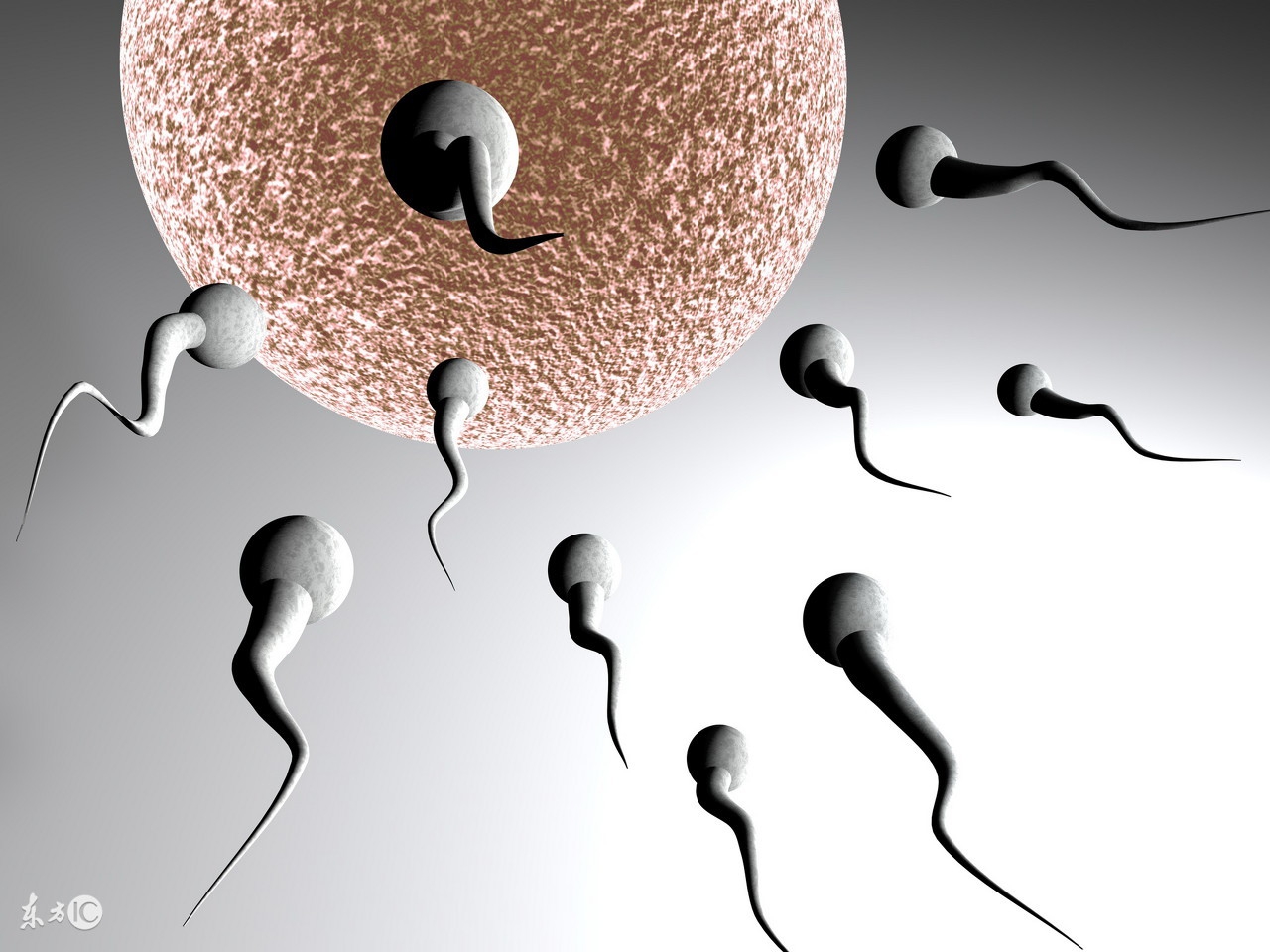 每日小科普有趣的冷知识分享,超有趣的冷知识你绝对不知道