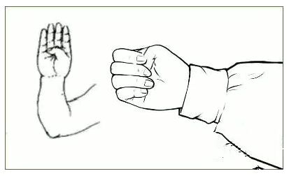 肾主骨吃什么养肾,中医吃什么药补肾最管用