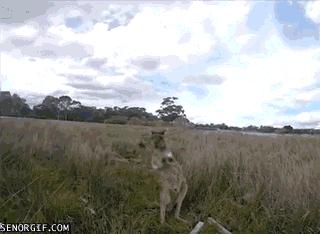 弹吉他像个疯子的人,弹空气吉他