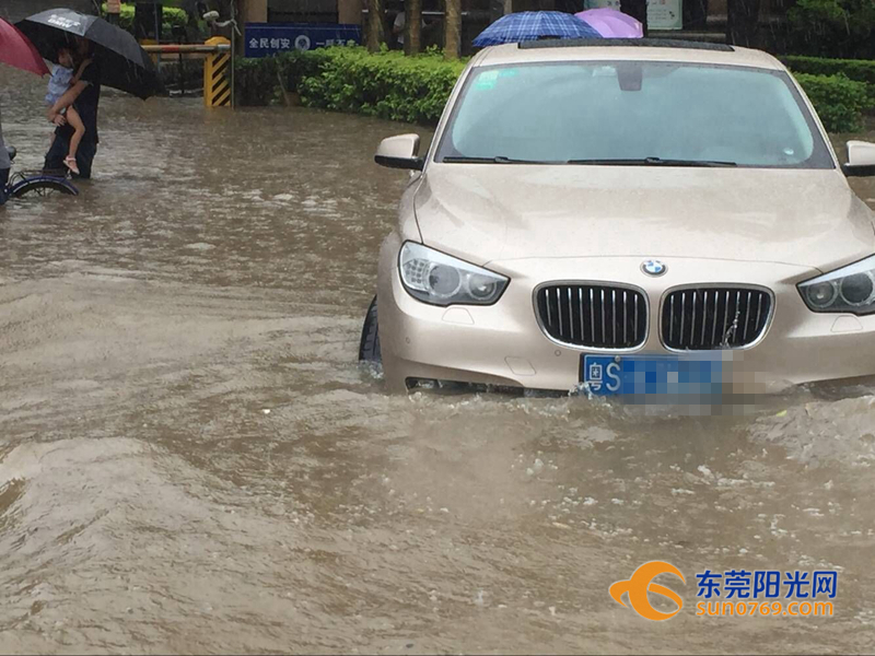 东莞海滩必备泳衣,东莞海边最新消息