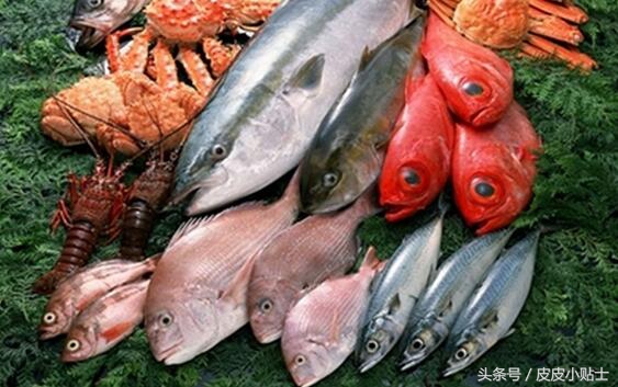 一岁半小孩长湿疹可以吃哪些食物,吃高蛋白食物诱发湿疹