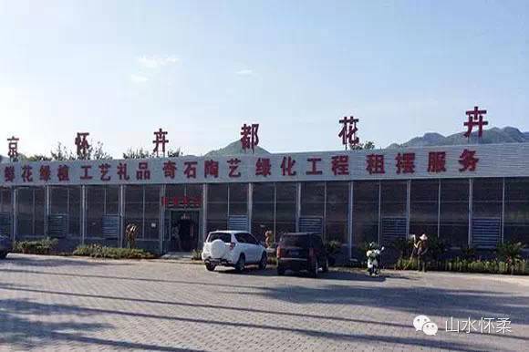 白色情人节至死不渝的爱情,白色情人节祝你幸福