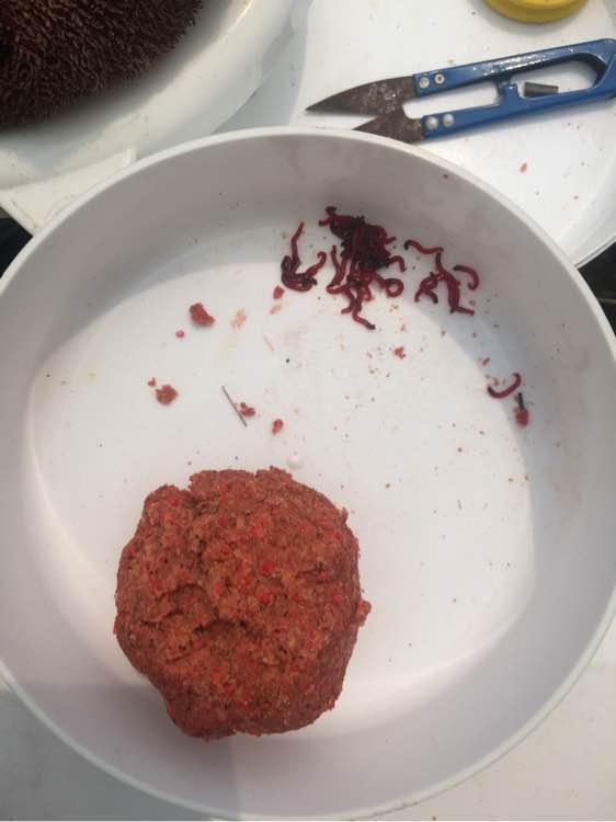 上班绑鱼钩，午休去钓鱼，因为工作耽搁了钓鱼，太不值！