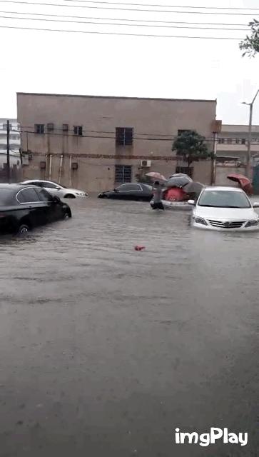 东莞海滩必备泳衣,东莞海边最新消息