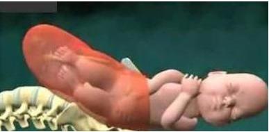 婴儿自然顺产过程,孩子顺产过程是怎样的