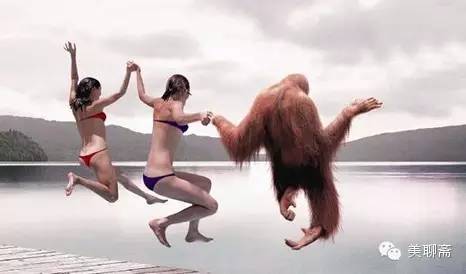 心水|脱毛全书，给来自“猩猩”的你